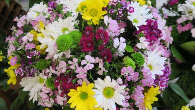 uploaded-image-kirmizi-lahana-salatasi-tarifi-1697200028239