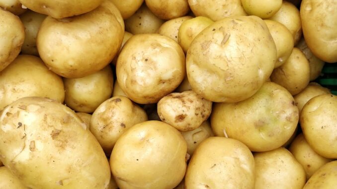 uploaded-image-patates-puresi-tarifi-1697200041402