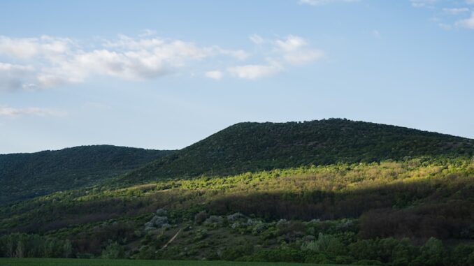 uploaded-image-portakalli-pilic-tarifi-1697200052146