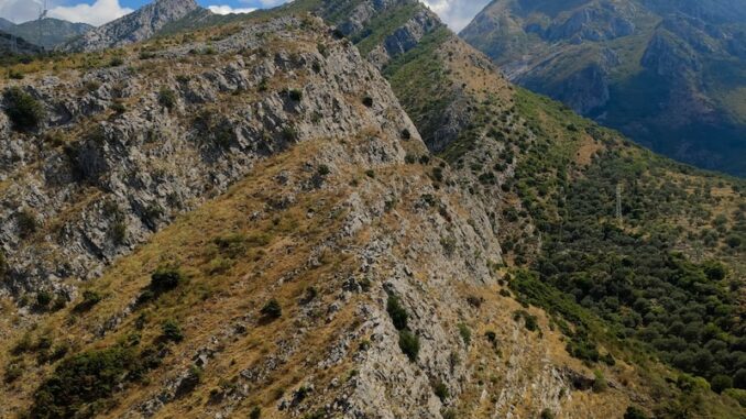 uploaded-image-zeytinyagli-barbunya-tarifi-1697200213278