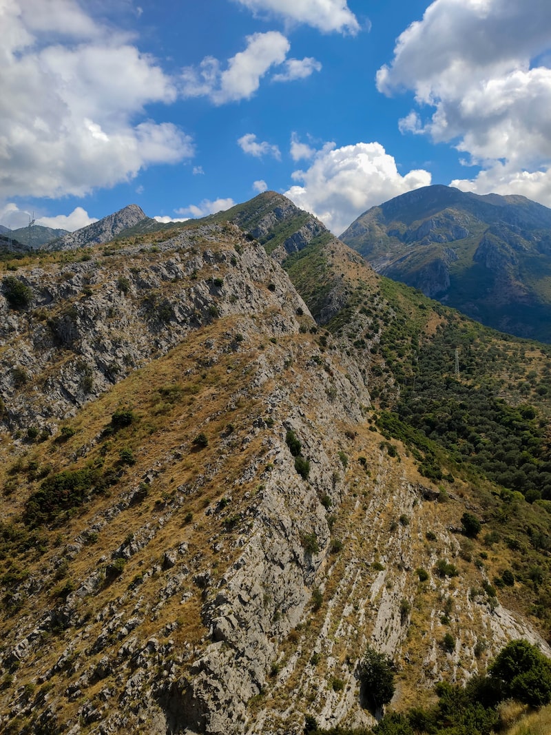 Zeytinyağlı Barbunya Tarifi